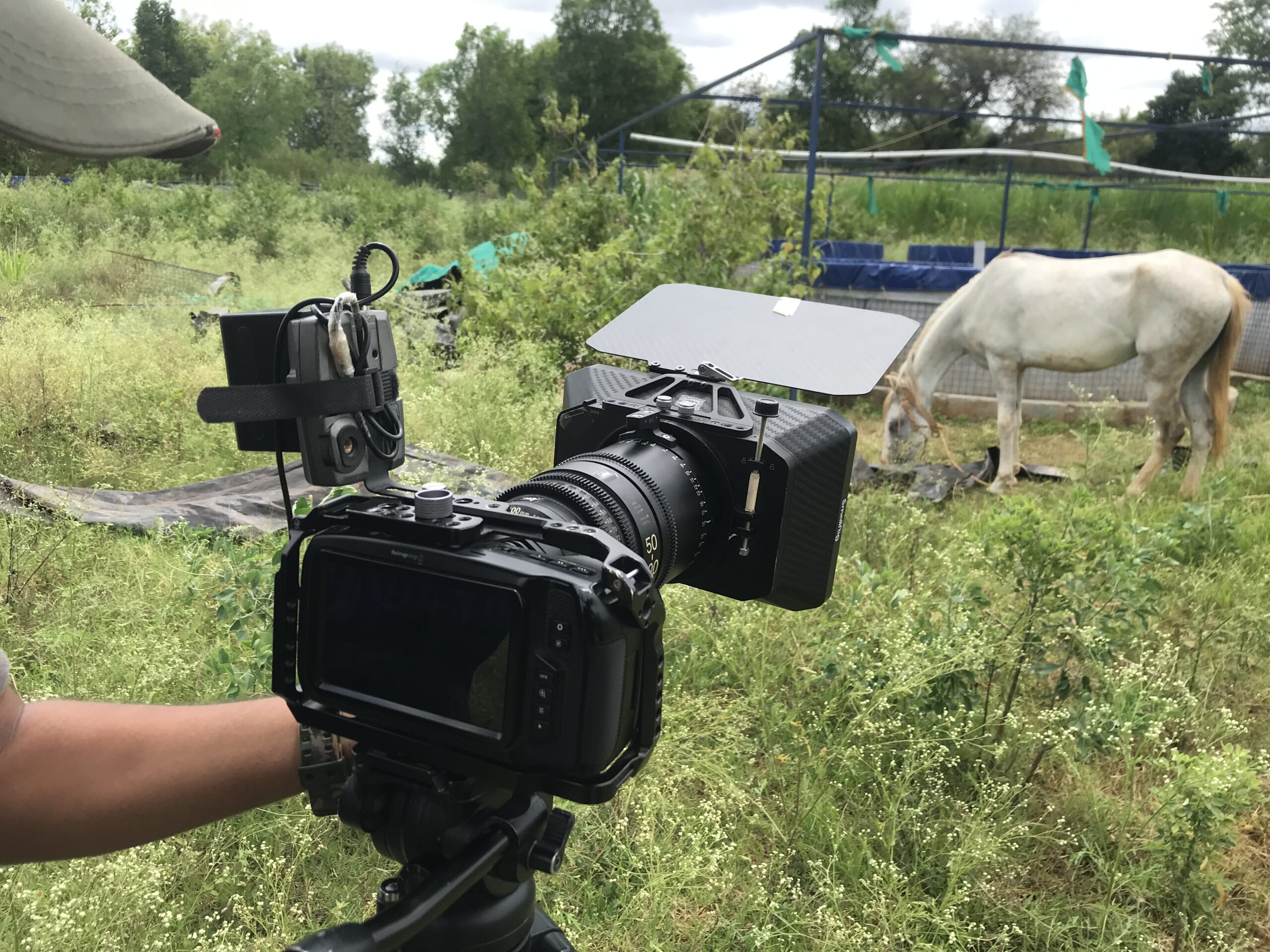 492F0175-9A9F-4925-A3F7-ED1D631336D4